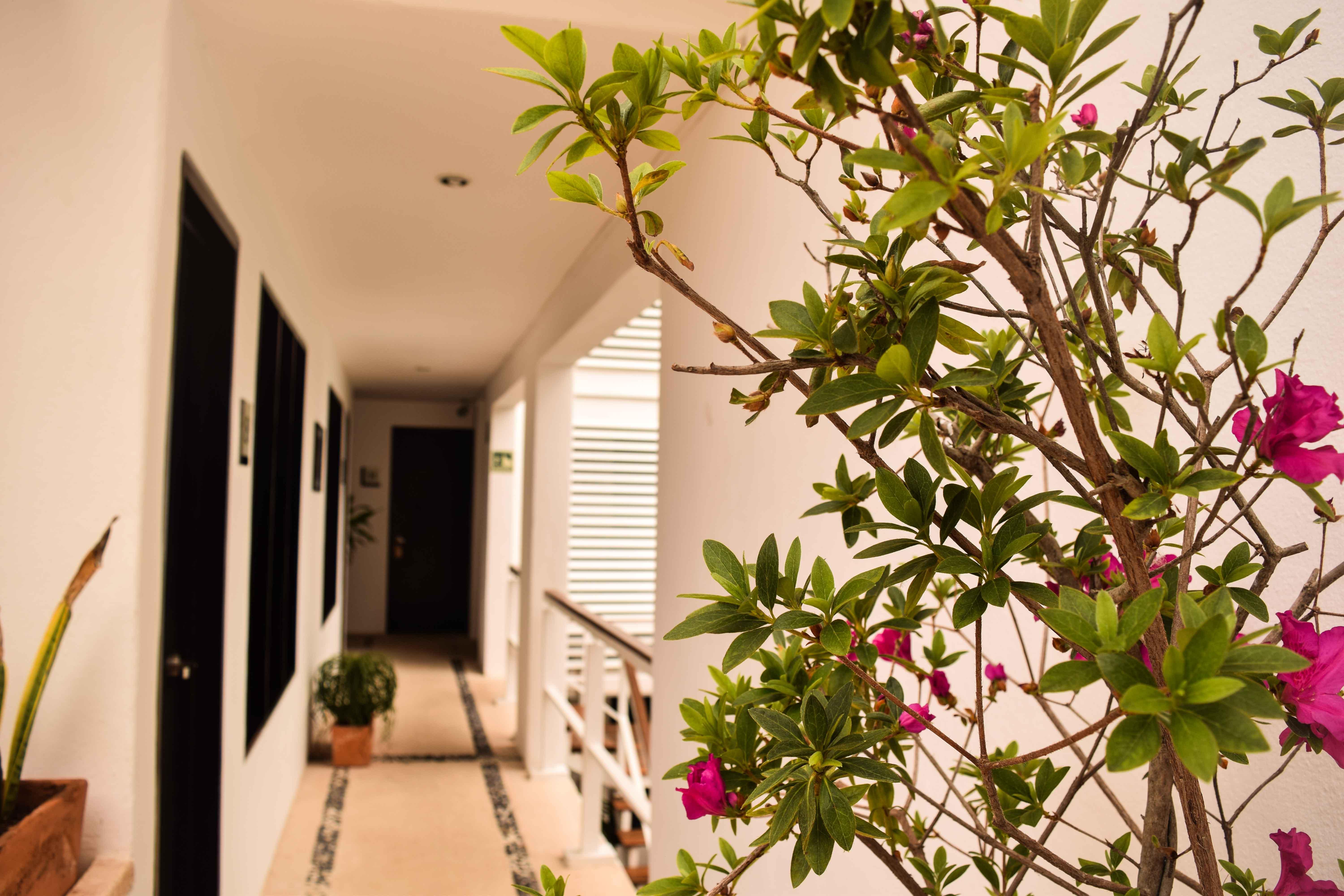 Casa Ticul Hotel Boutique - 5Th Ave (Adults Only) Playa del Carmen Exterior foto